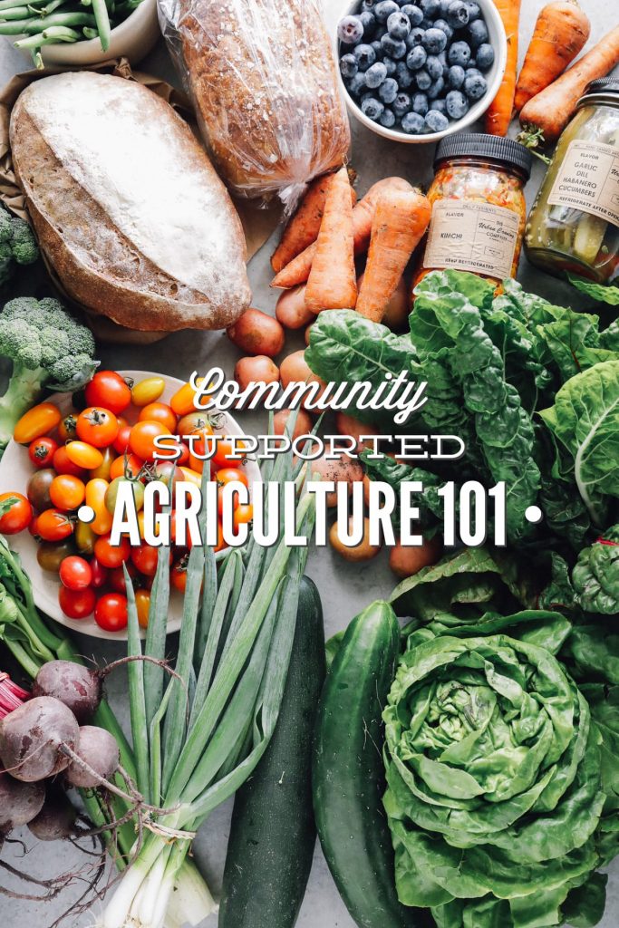 Community Supported Agriculture 101. Find out the answers to all of your burning questions about CSAs. A CSA is a great way to support local farmers!