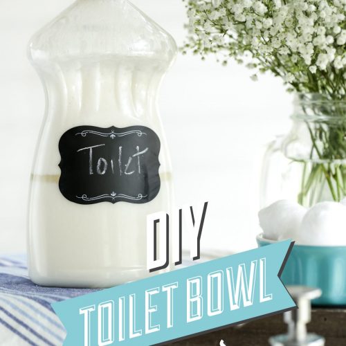 Toilet bowl cleaner ready to use, on the counter.