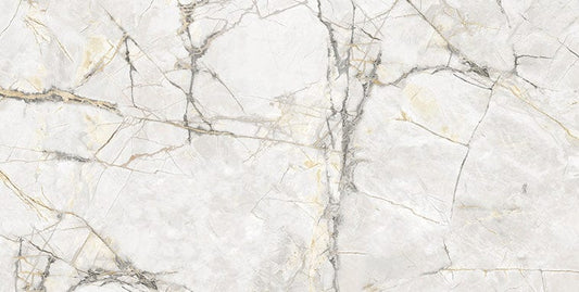 Axor Gold 24x48 Polished Porcelain Tile Euro Glass