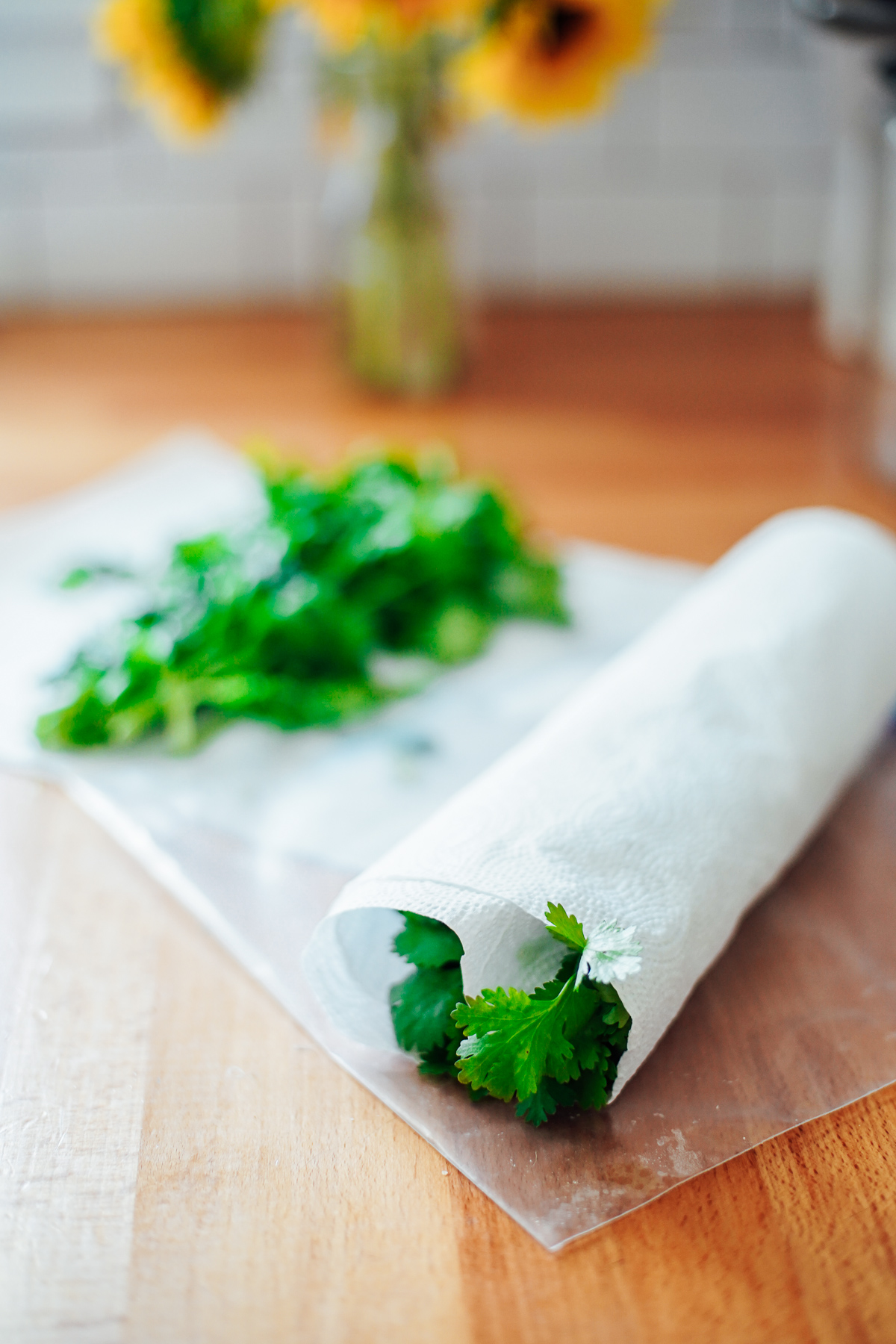 Cilantro rolled up like a jelly roll in a paper towel on the kitchen counter.