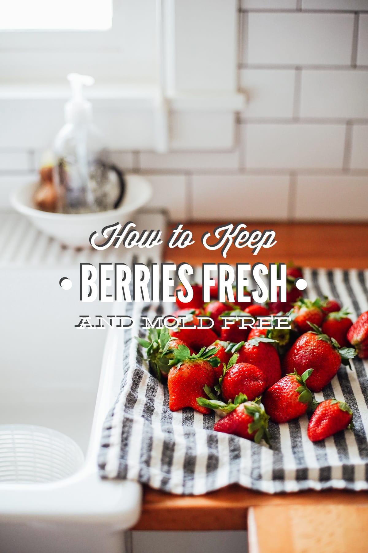 How to keep berries fresh and mold free