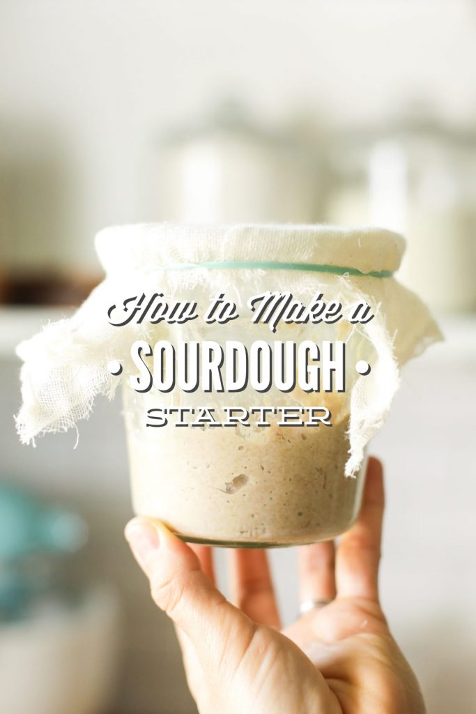 Consider this Sourdough Start 101! Use my experience, testing & even failures to help you overcome your sourdough fears!
