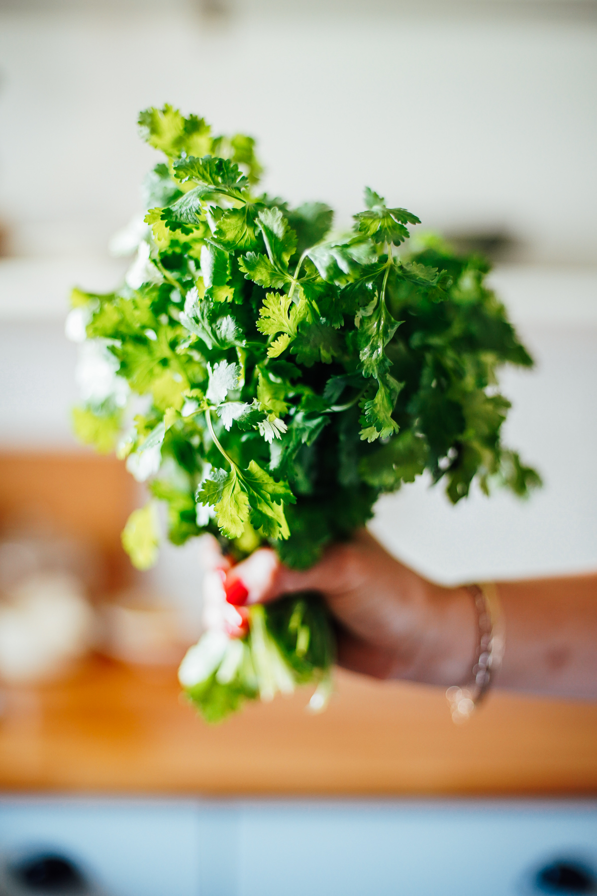 A bunch of cilantro being held in the kitchen.