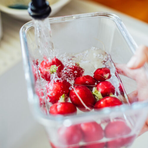 Filling a large glass bowl with radishes inside with fresh water at the sink.