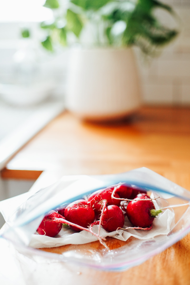 Whole raw radishes in a plastic ziploc bag with a wet paper towel inside.