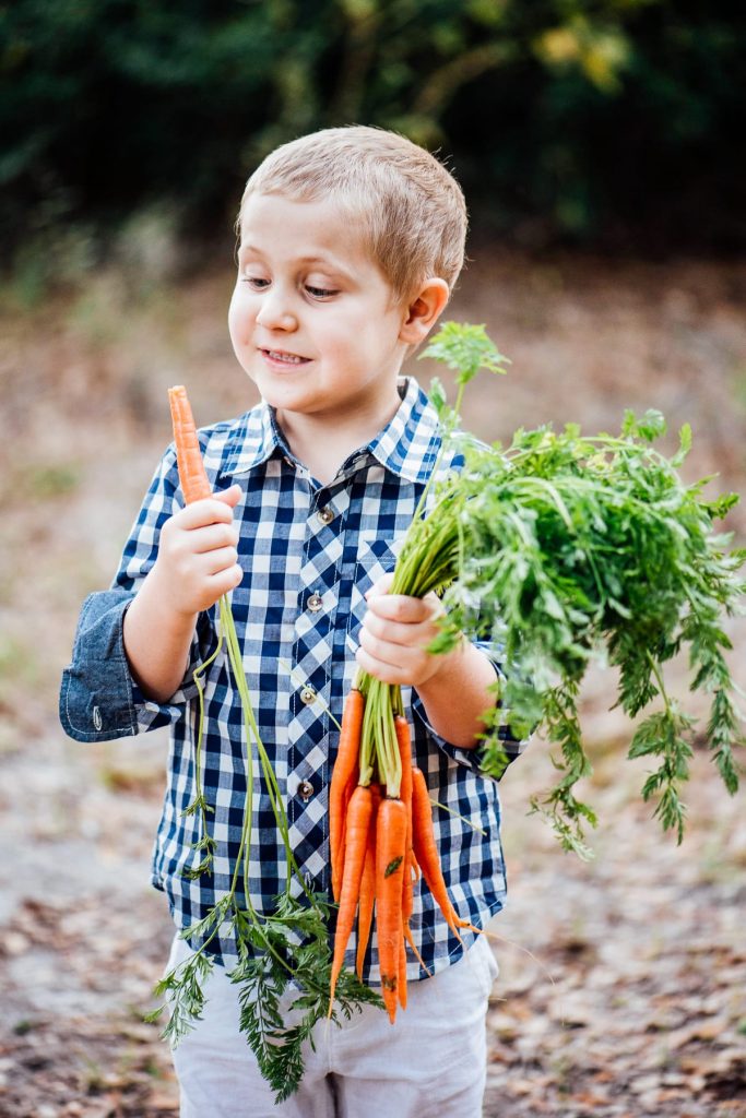 Picky Eaters: How to Encourage Exploration and Open-Mindedness with Food (Plus, Recipes to Encourage Exploration)